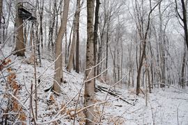 DSC_0027